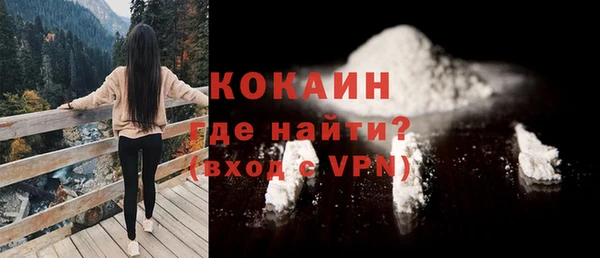 индика Лиски