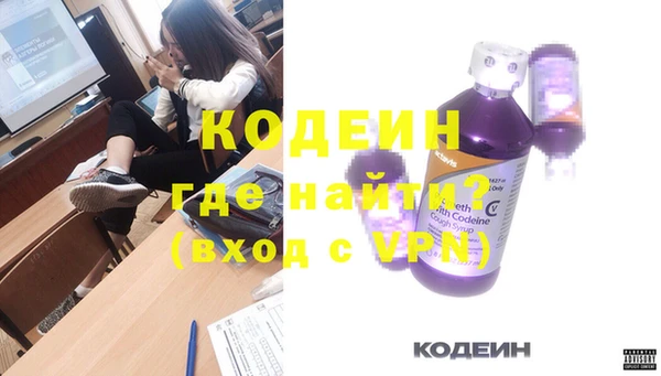 индика Лиски