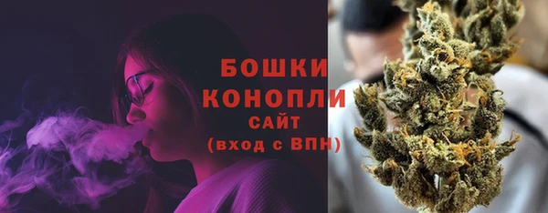 индика Лиски