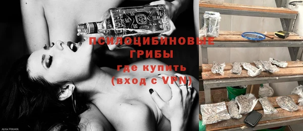 индика Лиски