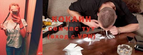 индика Лиски