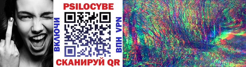 Купить закладки  Жигулёвск  Галлюциногенные грибы Cubensis 
